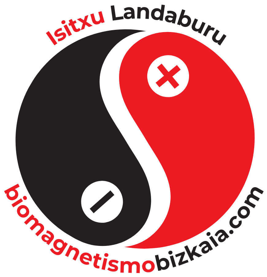 biomagnetismobizkaia.co